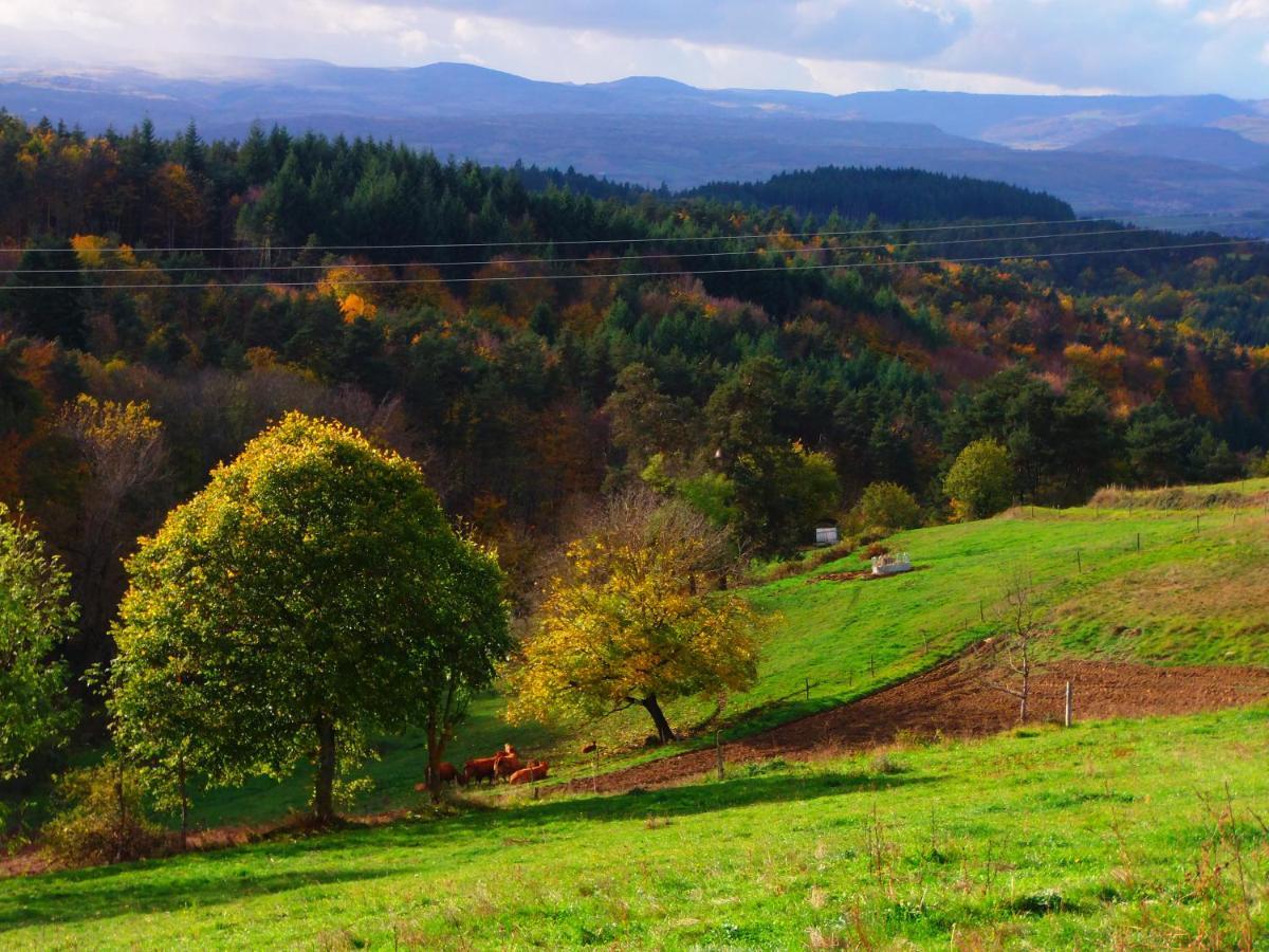 Le Vallon D'Armandine, Gite Ecologique Auvergne Saint-Hilaire  Exterior foto